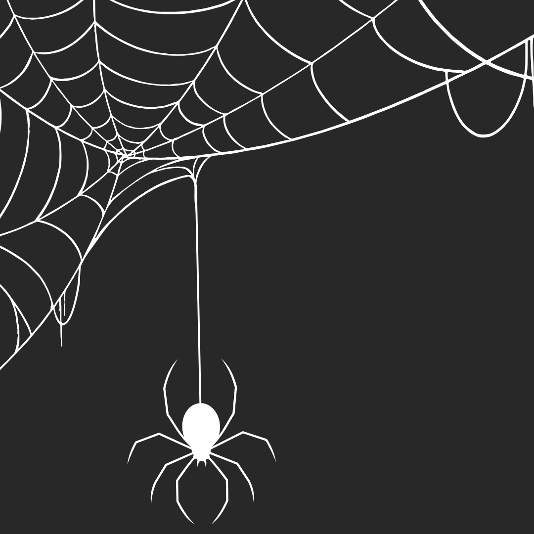 cobweb
